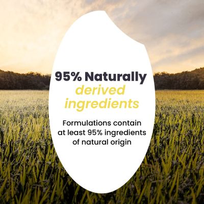 Haruharu Wonder: Black Rice Hyaluronic Anti-wrinkle Serum - 50ml