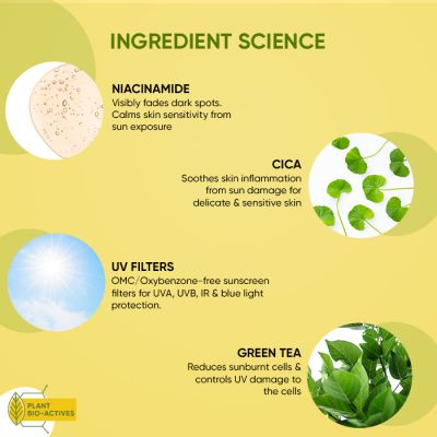 Dot & Key: CICA Niacinamide Face Sunscreen SPF 50 PA+++ - UV Protection for Oily - and Acne Prone Skin - 25gm