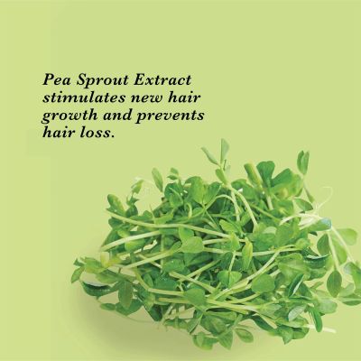 True Frog: Anti Hairfall Shampoo - 250ml