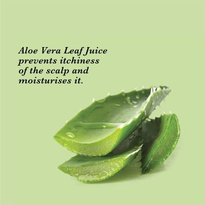 True Frog: Anti-Dandruff Shampoo - 250ml