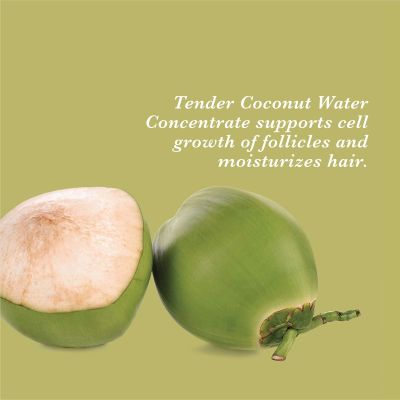 True Frog: Everyday Hair Conditioner - 250ml