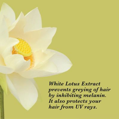 True Frog: Everyday Hair Conditioner - 250ml