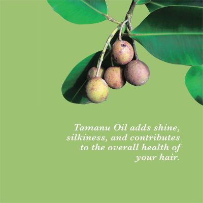 True Frog: Everyday Hair Conditioner - 250ml