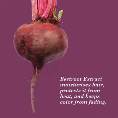 True Frog: Deep Conditioning Mask - 200 gm