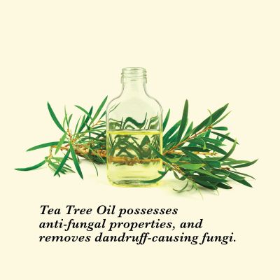 True Frog: Scalp care bundle