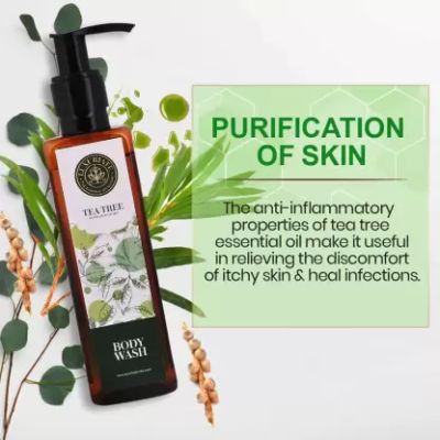 Luxuriate : Natural Purification of Skin Tea Tree Body Wash Shower Liquid for Men and Women - 200 ml