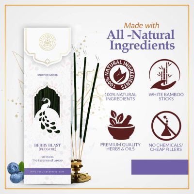 Luxuriate: Berry Blast Fragrance Natural and Non-Toxic Incense Sticks - Contains 20 Incense Sticks