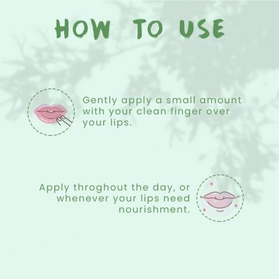 Foy Naturals: Coco Mint Moisturizing Lip balm - 15gm