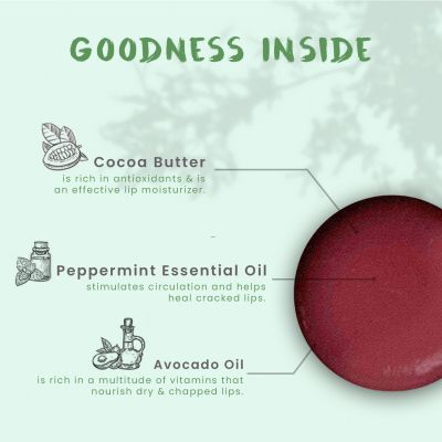 Foy Naturals: Coco Mint Moisturizing Lip balm - 15gm