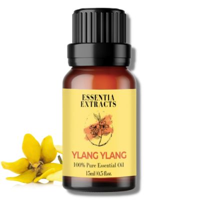 Essentia Extracts: Ylang Ylang Oil - 15 ml