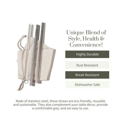 Ecotyl: Stainless Steel Straw - Set of 2 + Straw Cleaning Brush