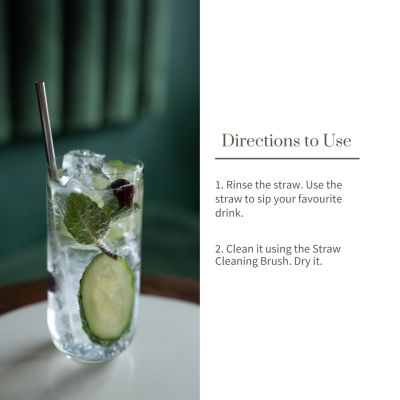 Ecotyl: Stainless Steel Straw - Set of 2 + Straw Cleaning Brush