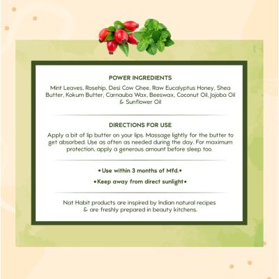 Nat Habit: Mint Rosehip Lip Balm - 10gm