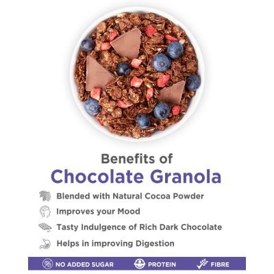 True Elements: Baked Granola Almonds And Dark Chocolate - 450 gm