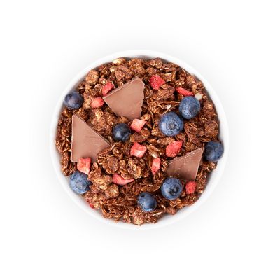 True Elements: Baked Granola Almonds And Dark Chocolate - 450 gm