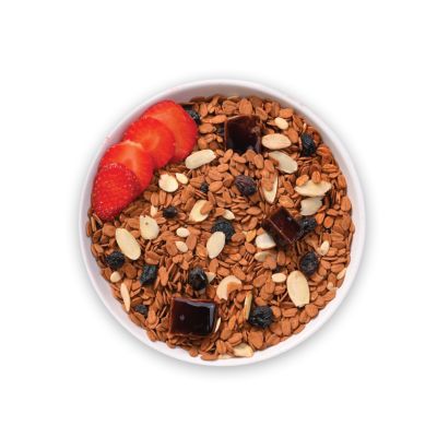 True Elements: Dark Chocolate Oatmeal - 500 gm