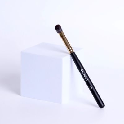 Wearified: Absolute Essentials Makeup Brushes - Set Of 12 with Face and Eyes with Transparent Pouch