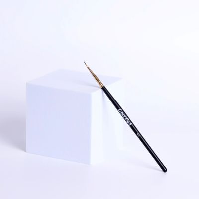 Wearified: Absolute Essentials Makeup Brushes - Set Of 6 for Eyes
