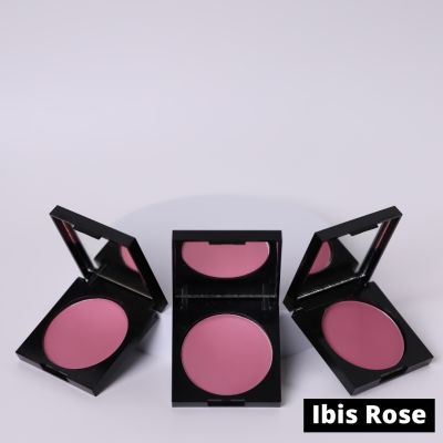 Wearified: Soft Focus Buildable Blush - Complete Collection + Brush 03