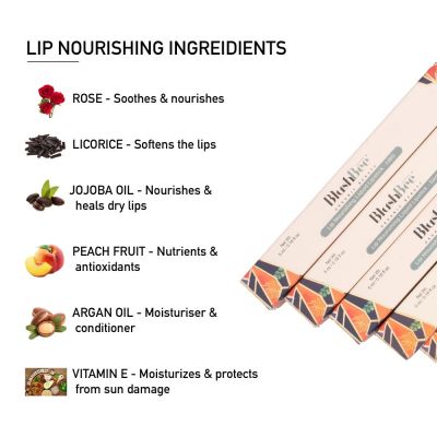 BlushBee Organic Beauty: Lip Nourishing Liquid Lipstick - 5ml