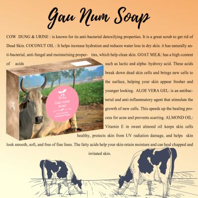 Shrida Naturals: Gaunum Soap - 125gm