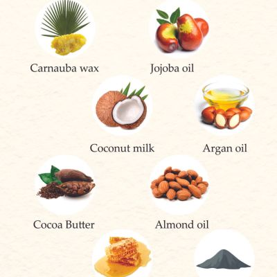 The Paradise Tree: Coconut Milk Lip Balm - 5gm