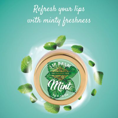 The Paradise Tree: Mint Lip Balm - 5gm