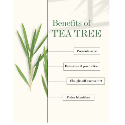 Organic Kitchen: Tea Tree Foaming Facewash - 150ml