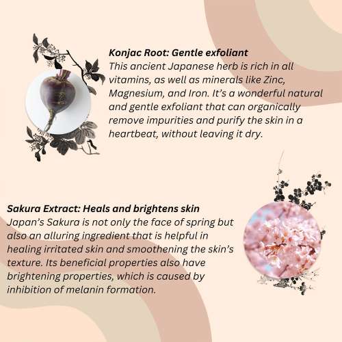 ClayCo.: Sakura Konjac Sponge - 20gm ClayCo.: Sakura Konjac Sponge - 20gm