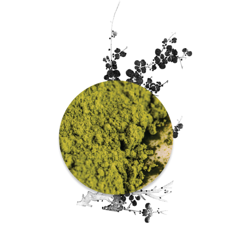 ClayCo.: Tsubaki + Matcha Moisturiser with Vitamin C - 80ml (Normal Skin)