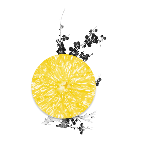 ClayCo.: Tsubaki + Matcha Moisturiser with Vitamin C - 80ml (Normal Skin)