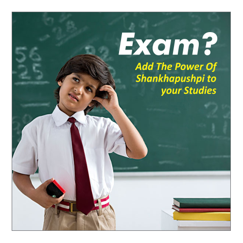 Baidyanath: Shankhapushpi Syrup- Helps to improve memory and enhance concentration| For Kids and Adults - 450 ml