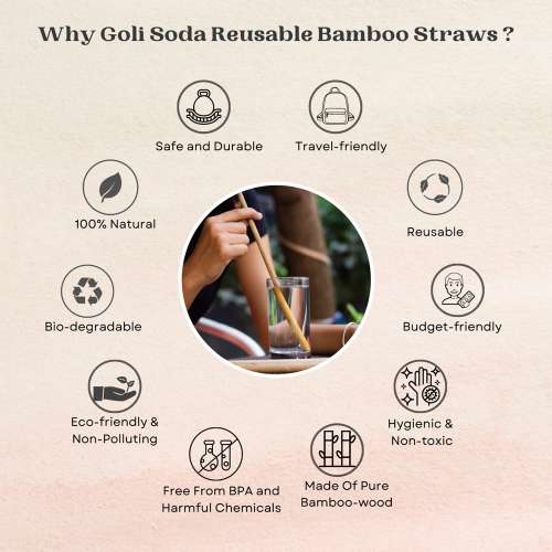 GOLI SODA: Reusable Bamboo Straws With Easy Carry Travel Pouch Pack of 6