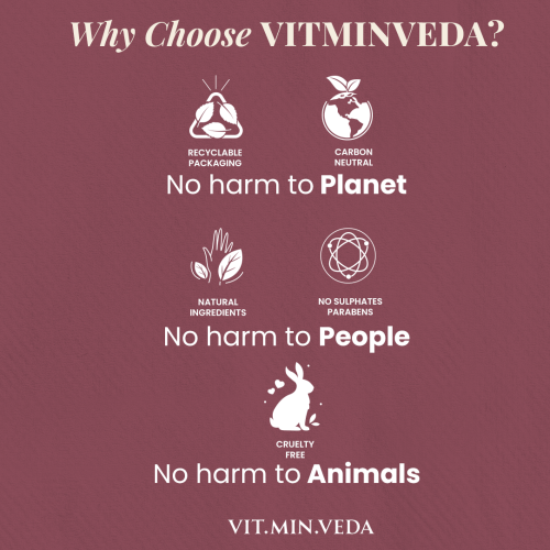 VITMINVEDA: Natural Red Wine Lip Balm - 8 gm
