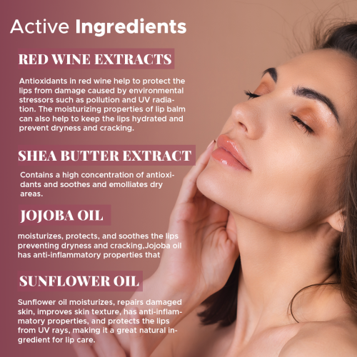 VITMINVEDA: Natural Red Wine Lip Balm - 8 gm