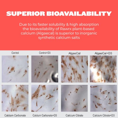 RawRX: Plant based Calcium + D3 with Vitamin C