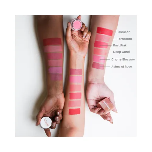 BindtBeauty: Multi - Use Tints Ashes of Rose - 5gm