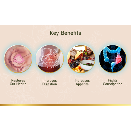 LYEF Wellness: Gut Restore Capsule - 60 Capsules LYEF Wellness: Gut Restore Capsule - 60 Capsules