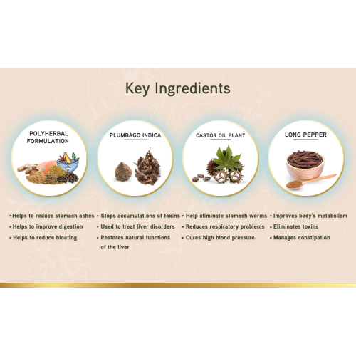 LYEF Wellness: Gut Restore Capsule - 60 Capsules LYEF Wellness: Gut Restore Capsule - 60 Capsules