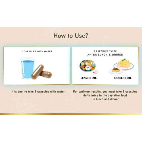 LYEF Wellness: Gut Restore Capsule - 60 Capsules LYEF Wellness: Gut Restore Capsule - 60 Capsules