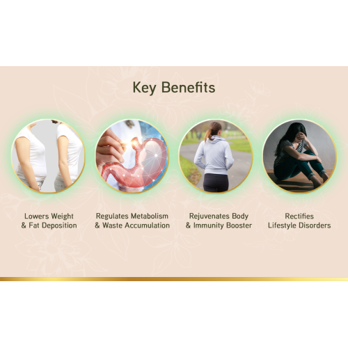 LYEF Wellness: Meta Re-Balance Capsule - 60 Capsules