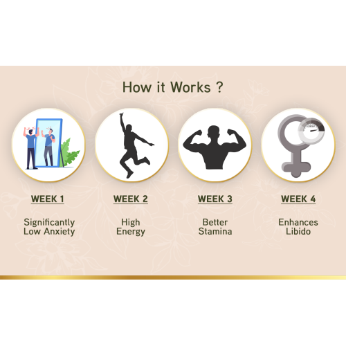 LYEF Wellness: Re-Ignite Passion Capsule - 60 Capsules LYEF Wellness: Re-Ignite Passion Capsule - 60 Capsules