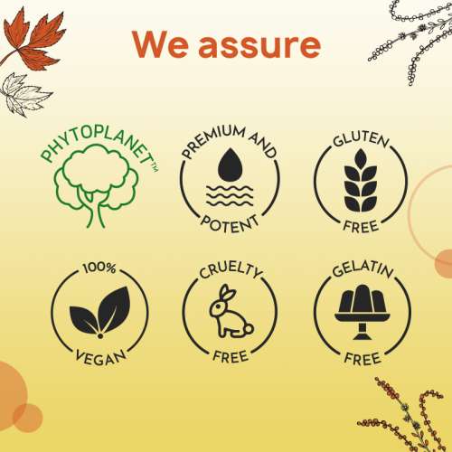 The Co Being: Happy Pause Menopause  Capsule - 60 Capsules