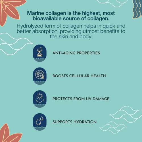 The Co Being: Marine Collagen Peptides - 30 Sachets