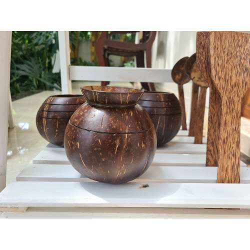 Thenga: Coconut Shell Pot Shaped Planter