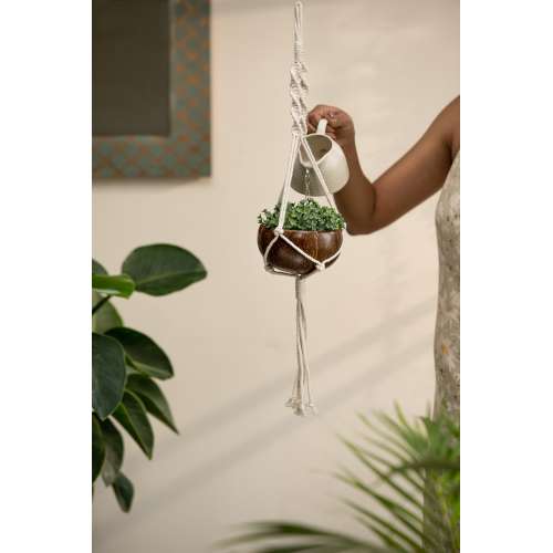 Thenga: Coconut Shell Planter with Macrame Hanger