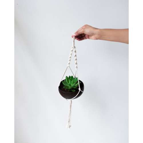 Thenga: Coconut Shell Planter with Macrame Hanger