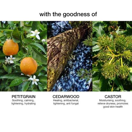 SKOG: Cedarwood / Petitgrain Body Oil - 100ml
