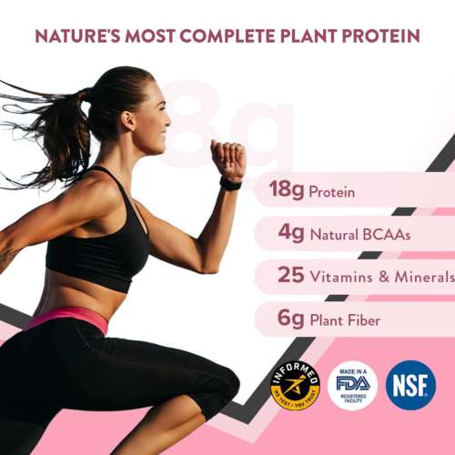 Wellbeing Nutrition: Her Superfood Plant Protein - Chocolate Peanut Butter - 30gm