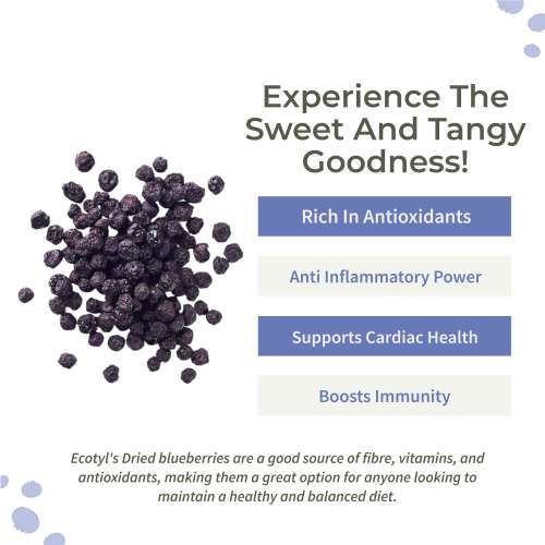 Ecotyl: Natural Dried Blueberries - 150gm Ecotyl: Natural Dried Blueberries - 150gm